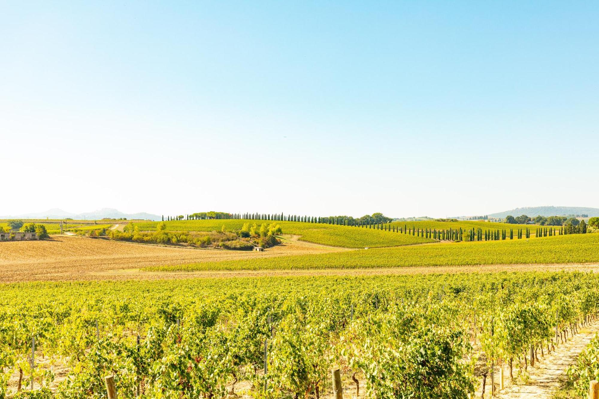 Appartamento Greppino Montepulciano Stazione Dış mekan fotoğraf