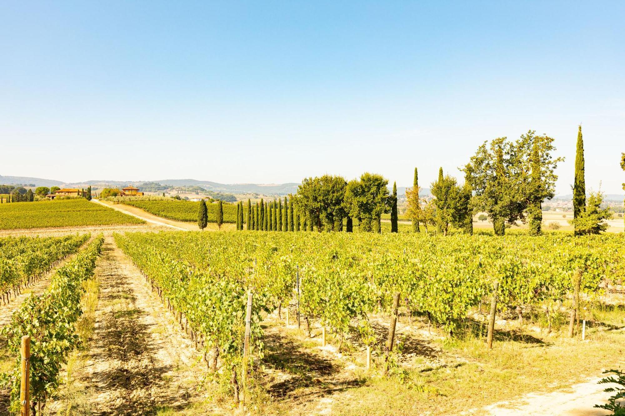 Appartamento Greppino Montepulciano Stazione Dış mekan fotoğraf