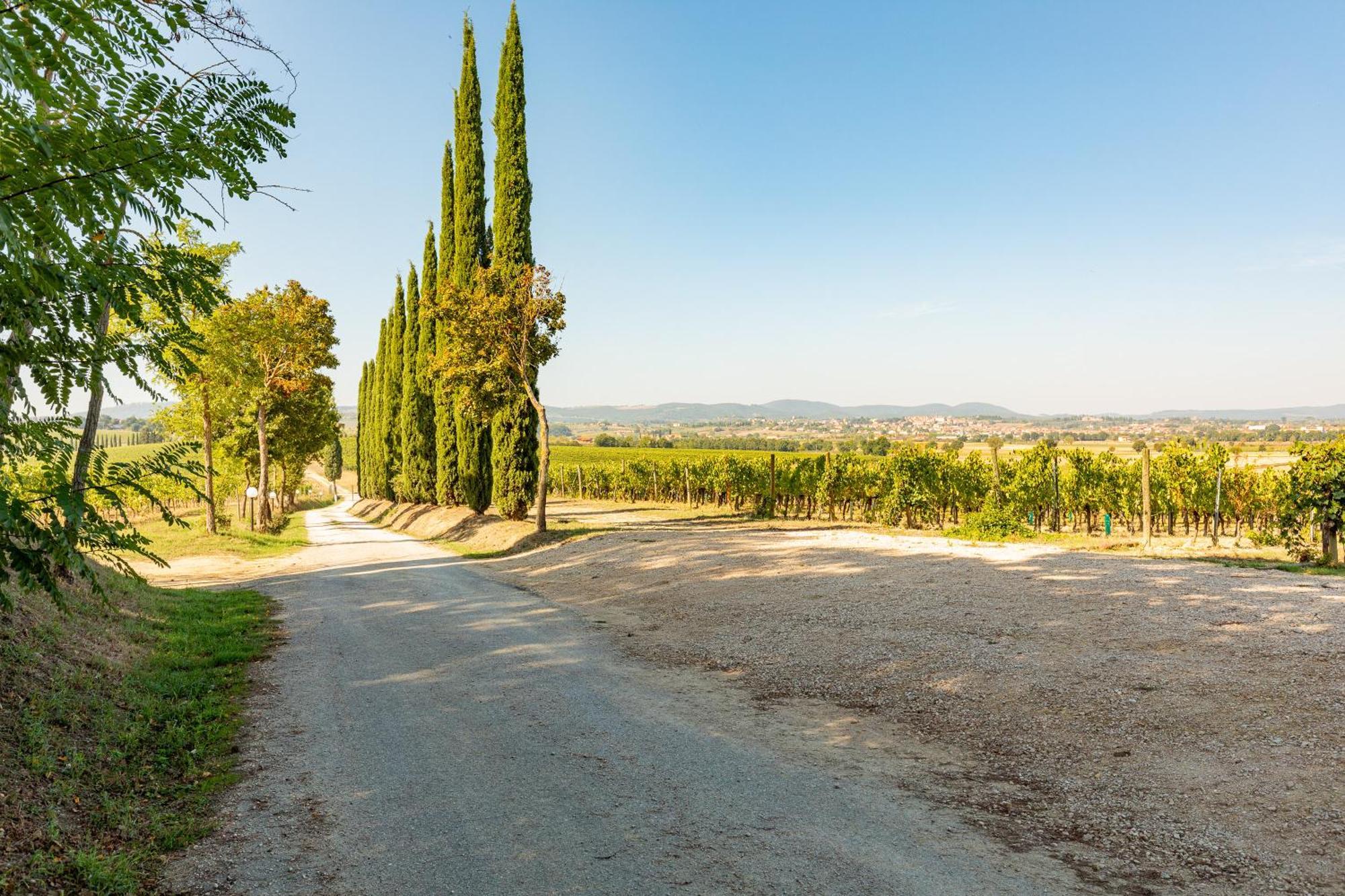 Appartamento Greppino Montepulciano Stazione Dış mekan fotoğraf